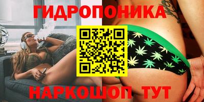 ALPHA PVP Моздок