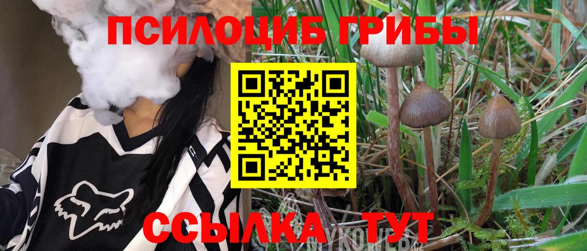 Галлюциногенные грибы Psilocybe  Вход с VPN  Сухой Лог 