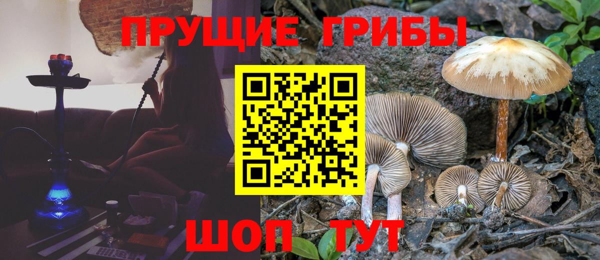 Галлюциногенные грибы GOLDEN TEACHER Сухой Лог